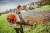 Воздуходувное устройство STIHL BR 700 Magnum (ранцевое)